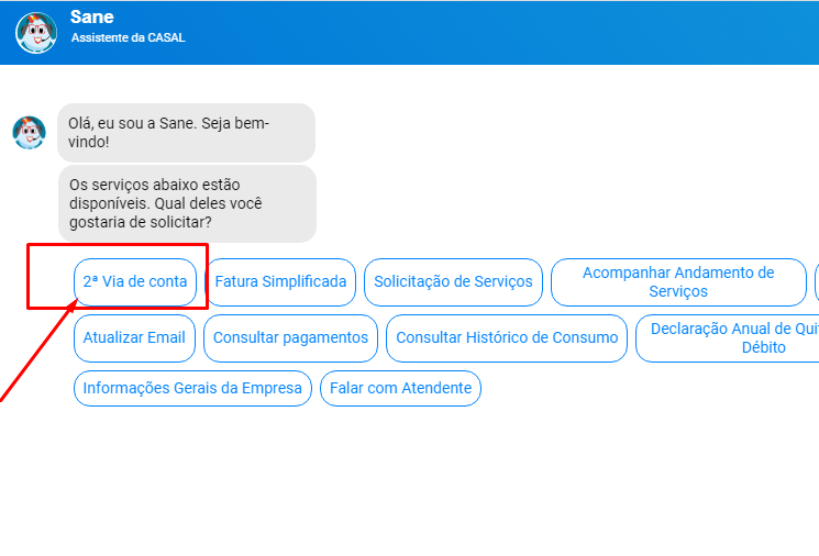 Escolha la opcao de 2 via de conta